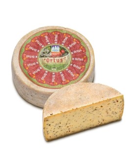 Ortus Hay milk cheese...