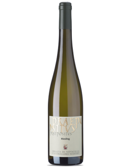 Riesling 2020 Praepositus...