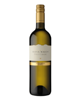 Pinot Grigio DOC 2025 Elena...