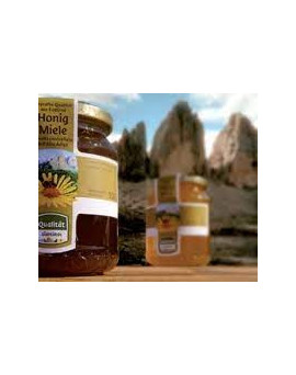 Waldhonig D'Antoni Luigi 500gr