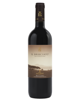 Il Bruciato BOLGHERI 2023...
