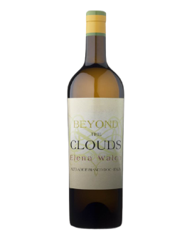 Beyond the Clouds 2023 DOC...