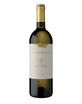 Pinot Grigio DOC 2024...